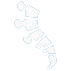 icon-physiotherapie-wh