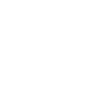 icon-brand